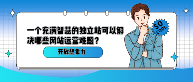 一个充满智慧的独立站可以解决哪些网站运营难题？