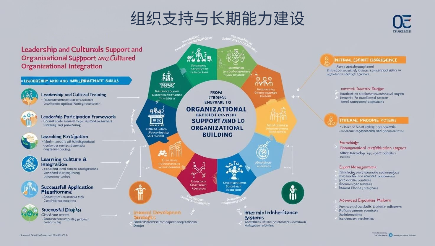 组织支持与长期能力建设
