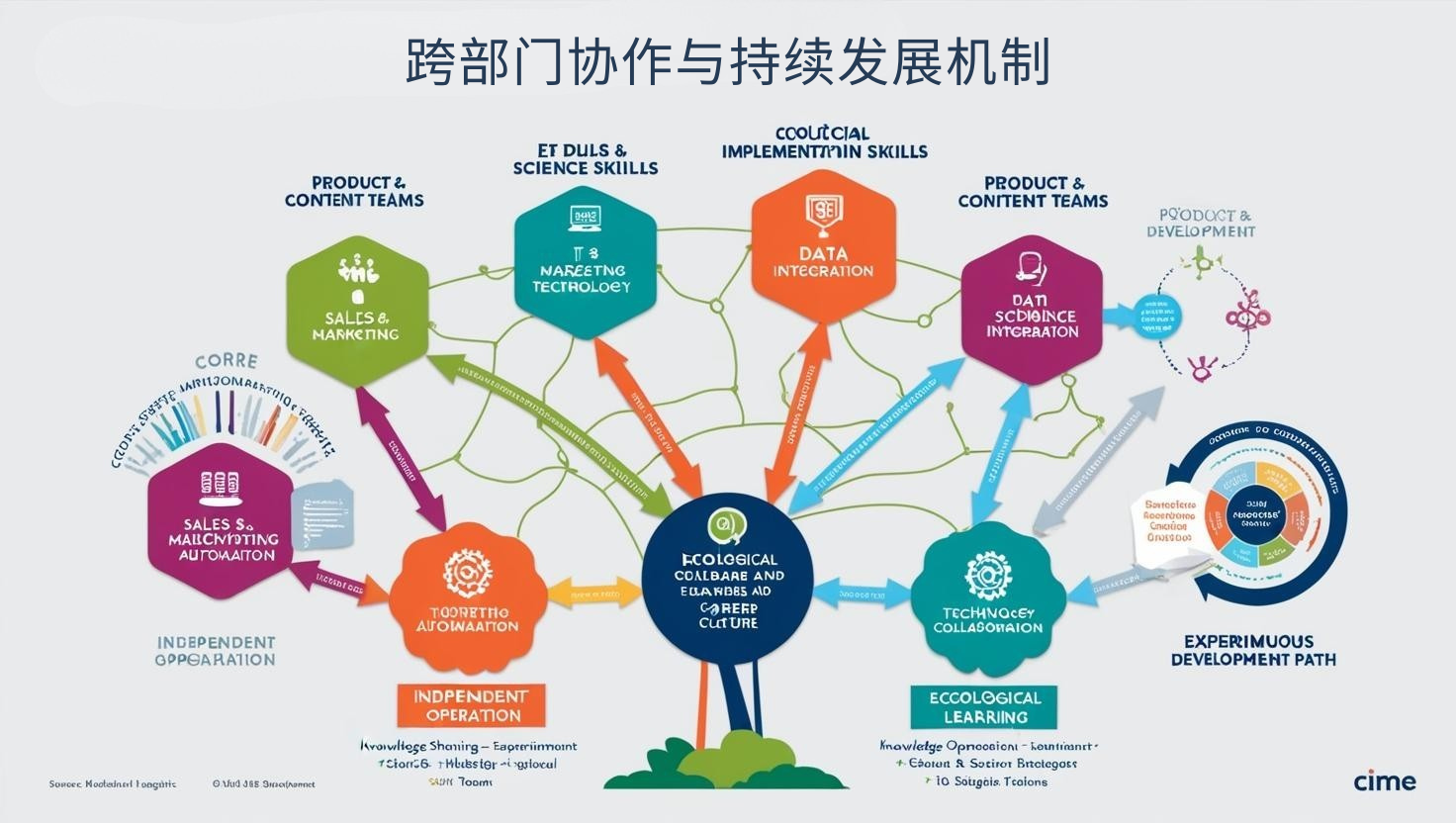 跨部门协作与持续发展机制