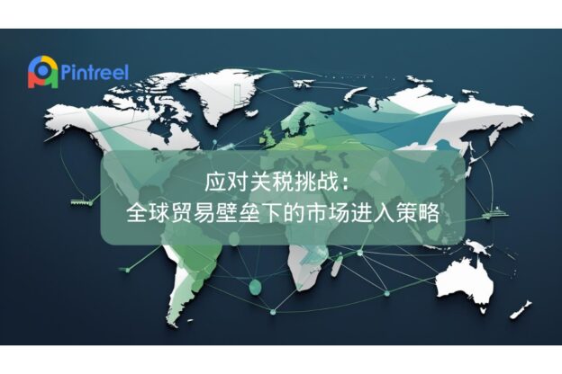 应对关税挑战：全球贸易壁垒下的市场进入策略