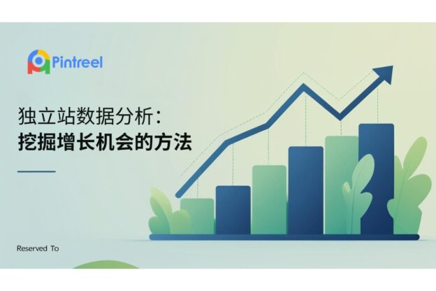 独立站数据分析：挖掘增长机会的方法