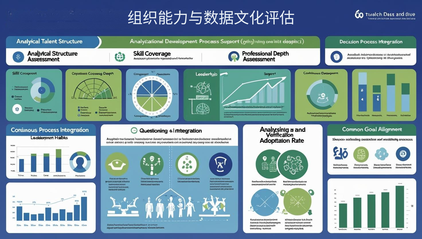 组织能力与数据文化评估
