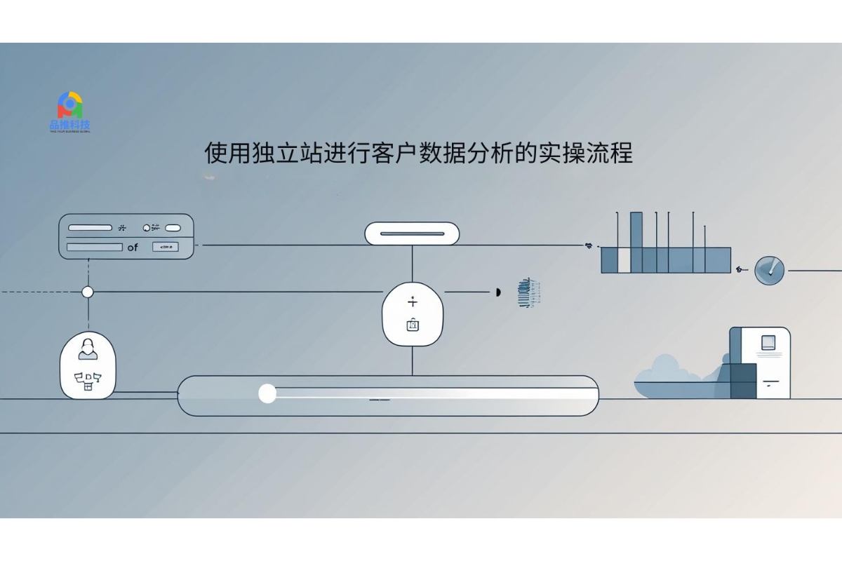 使用独立站进行客户数据分析的实操流程