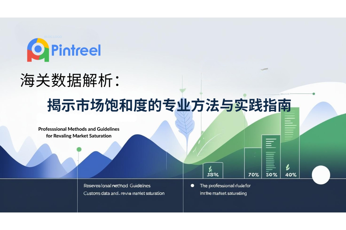 海关数据解析：揭示市场饱和度的专业方法与实践指南