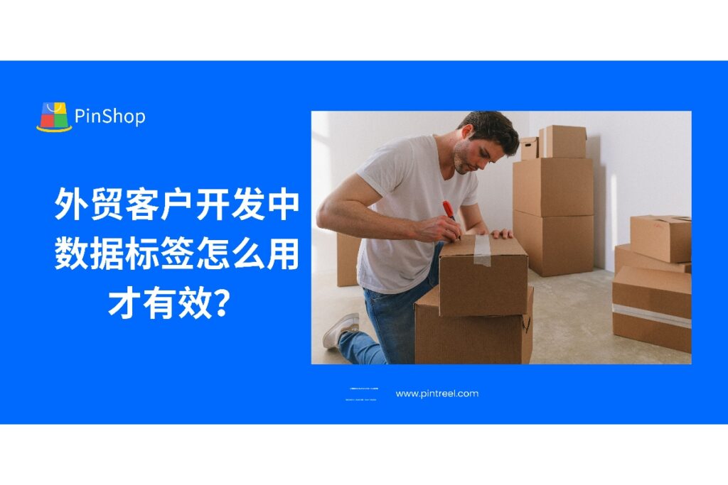 外贸客户开发中，合理使用数据标签是提高线索转化率的关键。本文解析标签管理技巧，助你构建高效外贸系统。