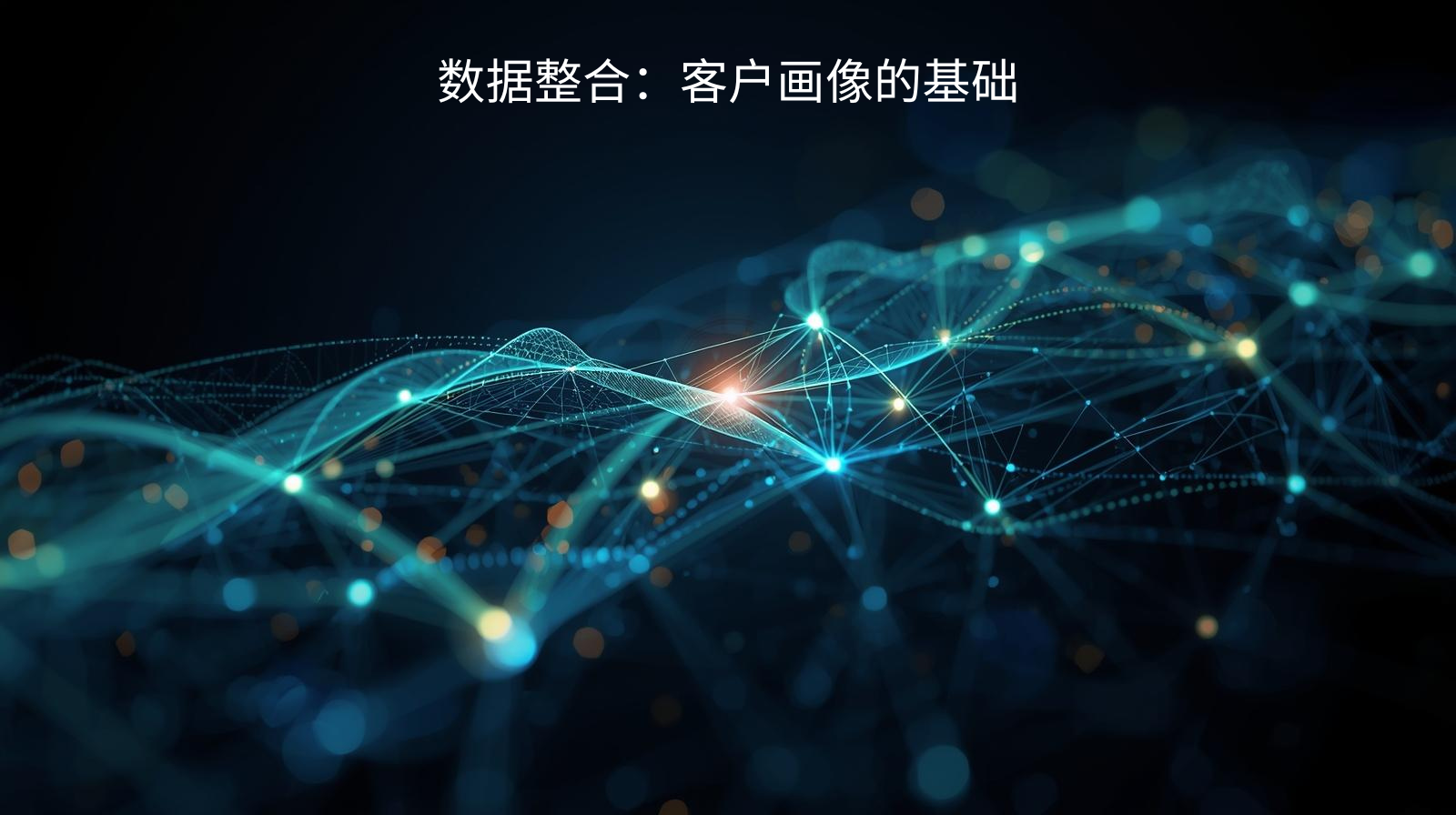 数据整合：客户画像的基础