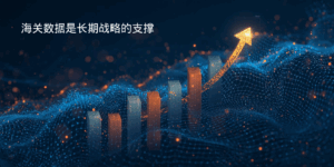 秘密七:海关数据是长期战略的支撑