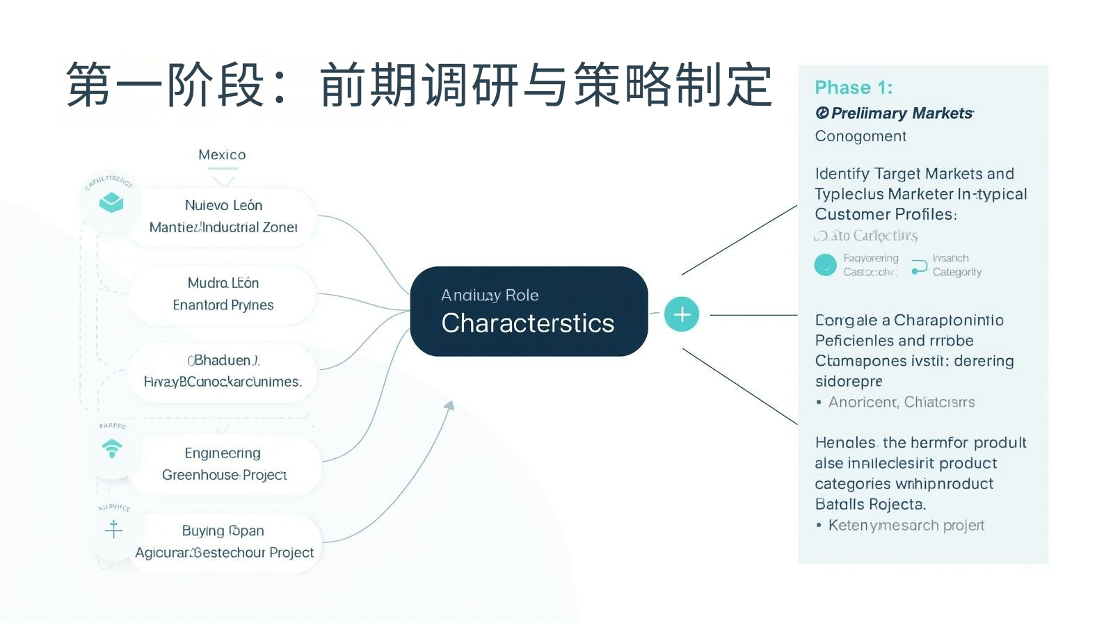 第一阶段：前期调研与策略制定