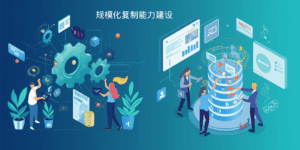 阶段四：规模化复制能力建设