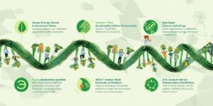 海关数据的绿能死刑