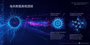 维度二:海关数据真相透镜