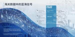 海关数据中的蓝海信号