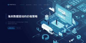 海关数据驱动的价格策略