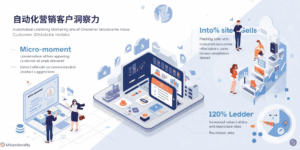 自动化营销客户洞察力