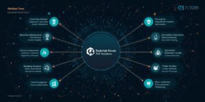 海关数据的网络透视