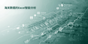 海关数据的Excel智能分析