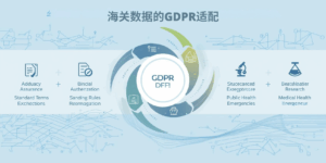 海关数据的GDPR适配