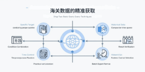 海关数据的精准获取