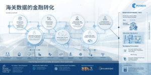 海关数据的金融转化