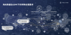 海关数据在GDPR下的特殊处理要求