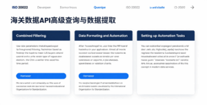 海关数据API高级查询与数据提取