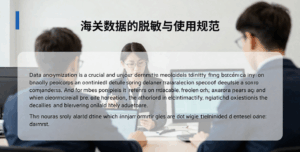海关数据的脱敏与使用规范