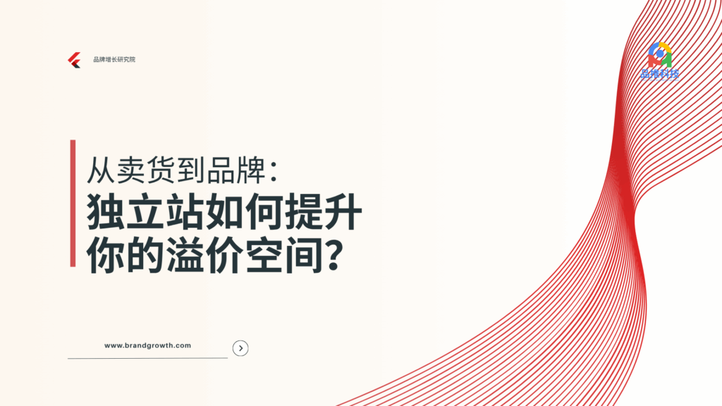 从卖货到品牌：独立站如何提升你的溢价空间？